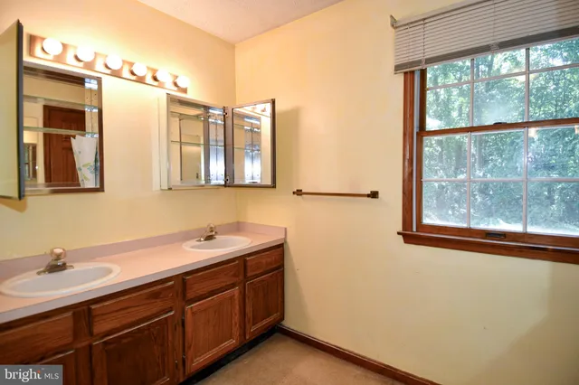 a bathroom with a double vanity sink a mirror and a bathtub