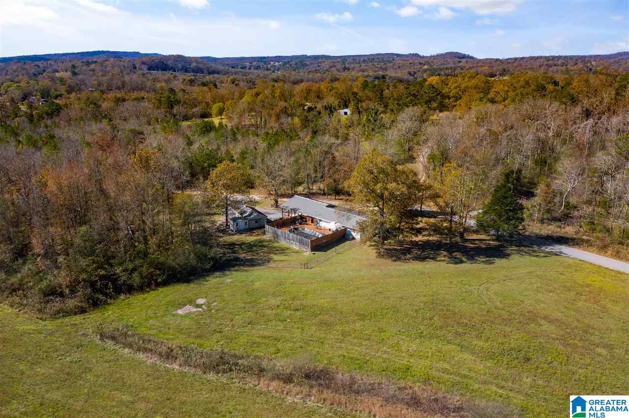 11 Posey Road Blountsville, AL 35031 - Photo 41 of 50