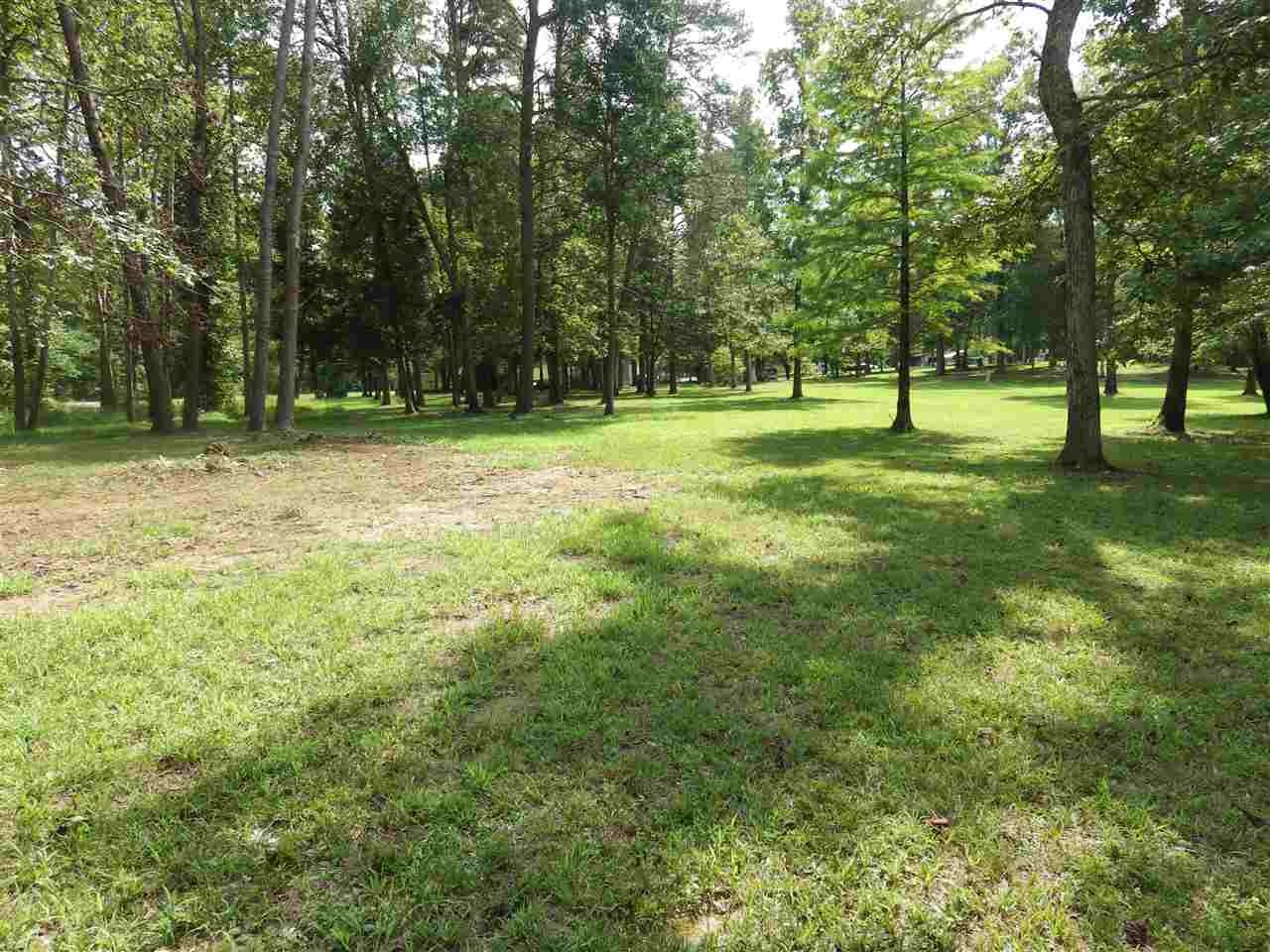 141 Cottonport Ferry Road Decatur, TN 37322 - Photo 16 of 17 Gallery Image 16