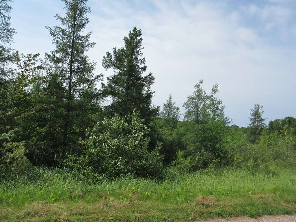 40-ac 40-ac Mission Lake Road Eland, WI 54427 - Photo 1 of 1