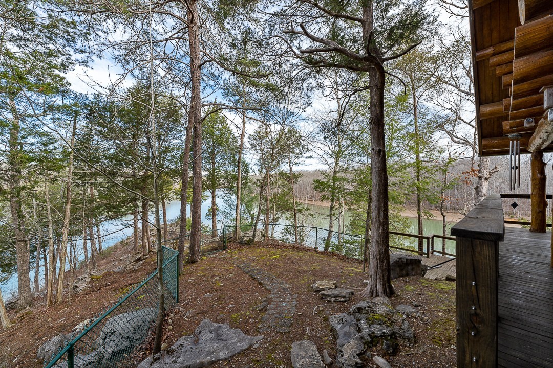 562 Rocky Ridge Road East Rock Island, TN 38581 - Photo 67 of 69 a view of a forest filled with trees