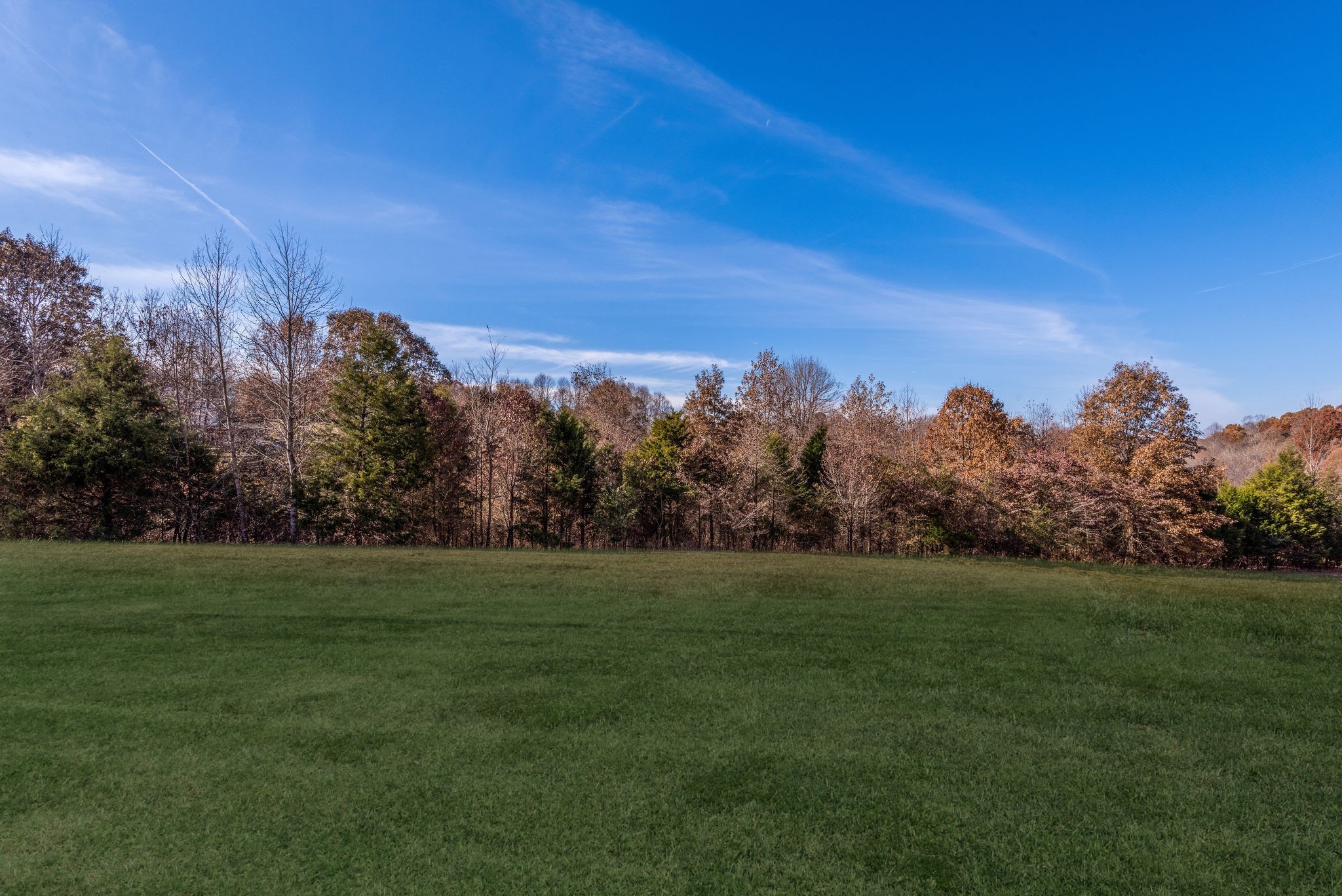 541 Murrell Road Dickson, TN 37055 - Photo 2 of 25 a view of a grassy field with trees in the background