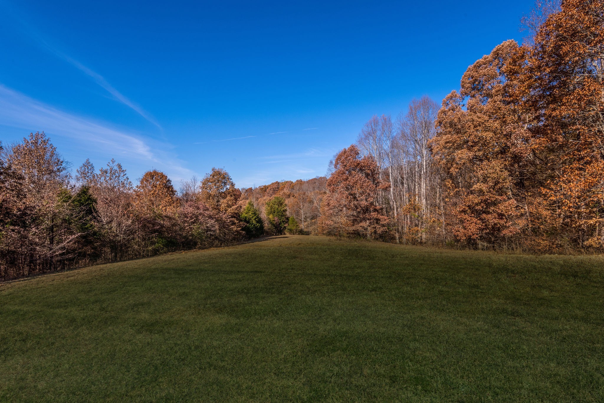 541 Murrell Road Dickson, TN 37055 - Photo 25 of 25 a view of a field with an trees