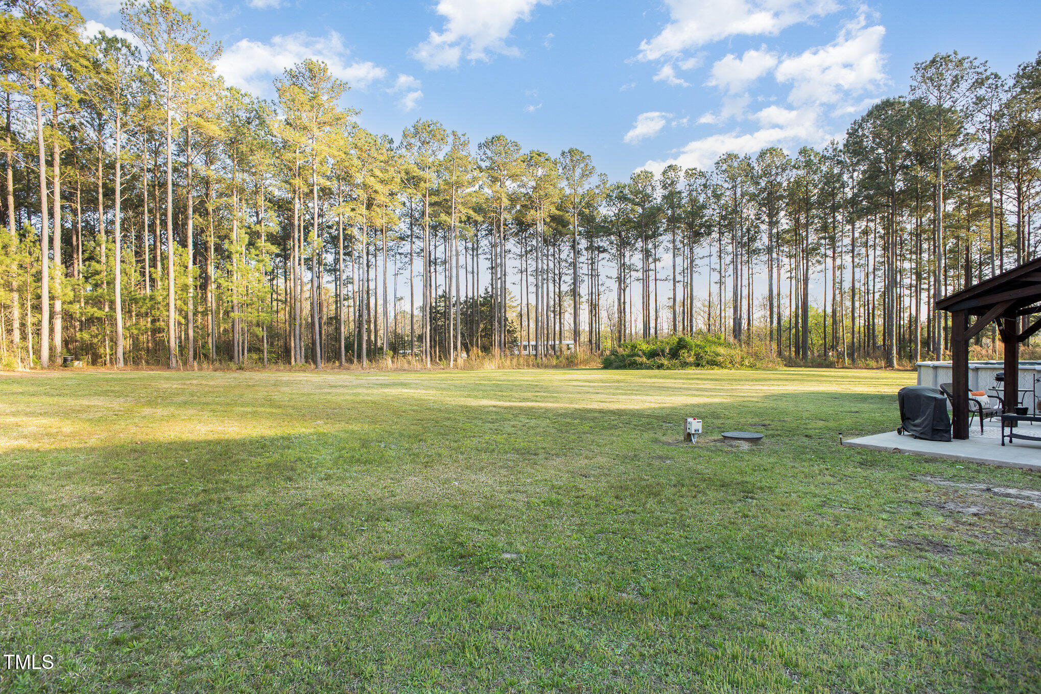 129 Red House Road Smithfield, NC 27577 - Photo 25 of 31 027_bc4a9992-edit_150