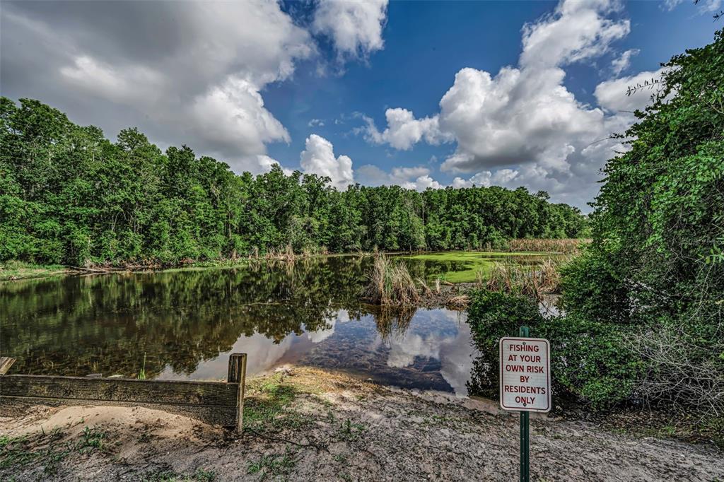12025 Proctor Loop, Unit 3 New Port Richey, FL 34654 - Photo 33 of 38