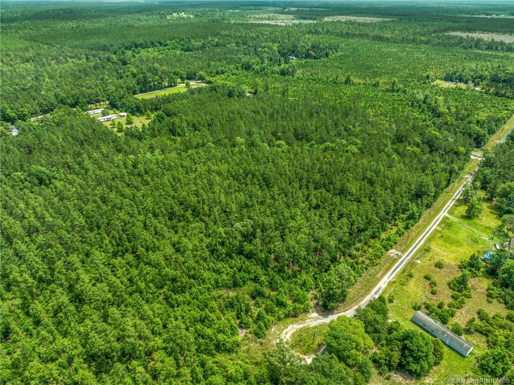 4 Old River Road Starks, LA 70661 - Photo 5 of 8