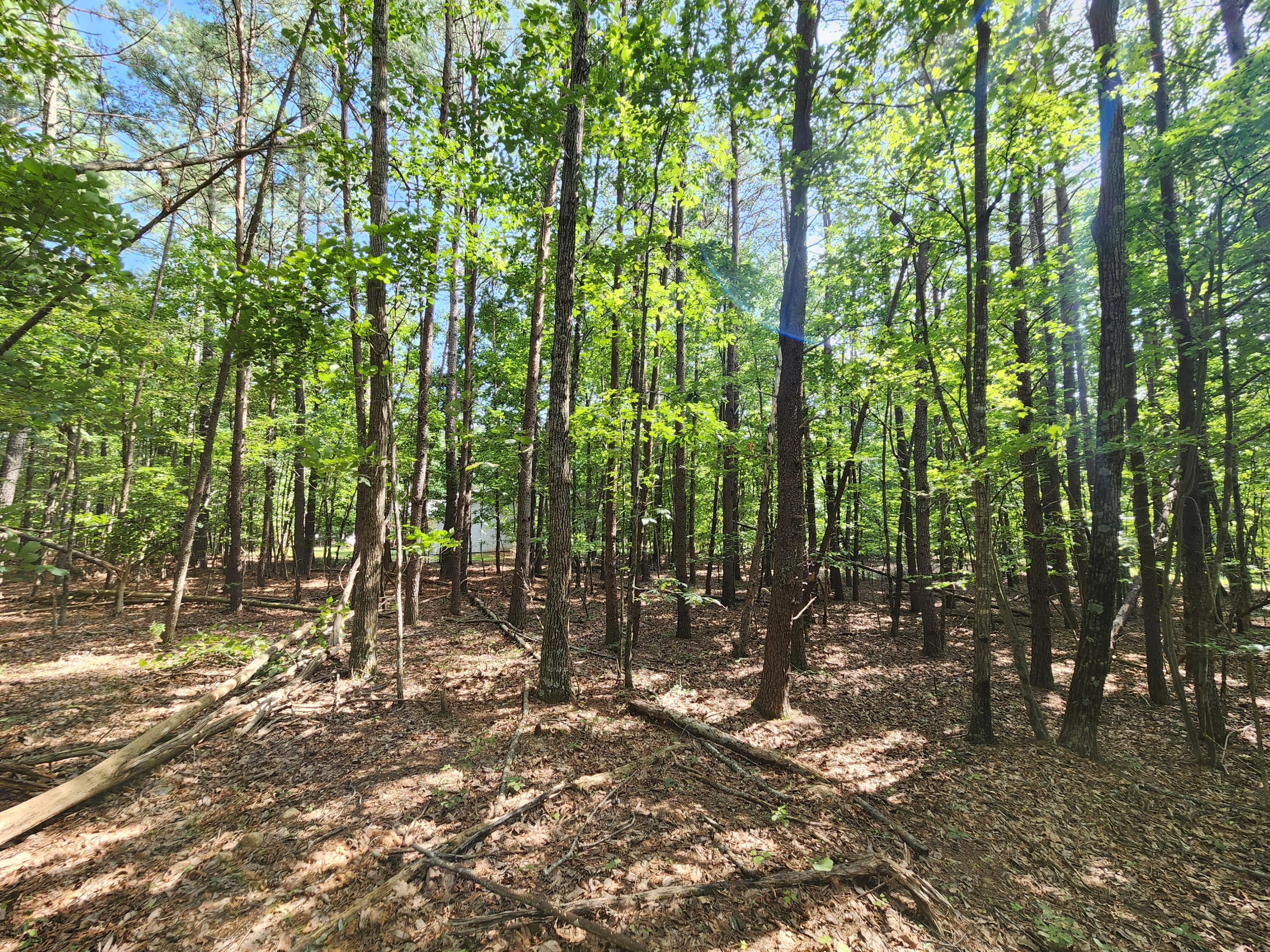 Lot 6 Wapiti Run Road Moneta, VA 24121 - Photo 2 of 7 a view of outdoor space and trees