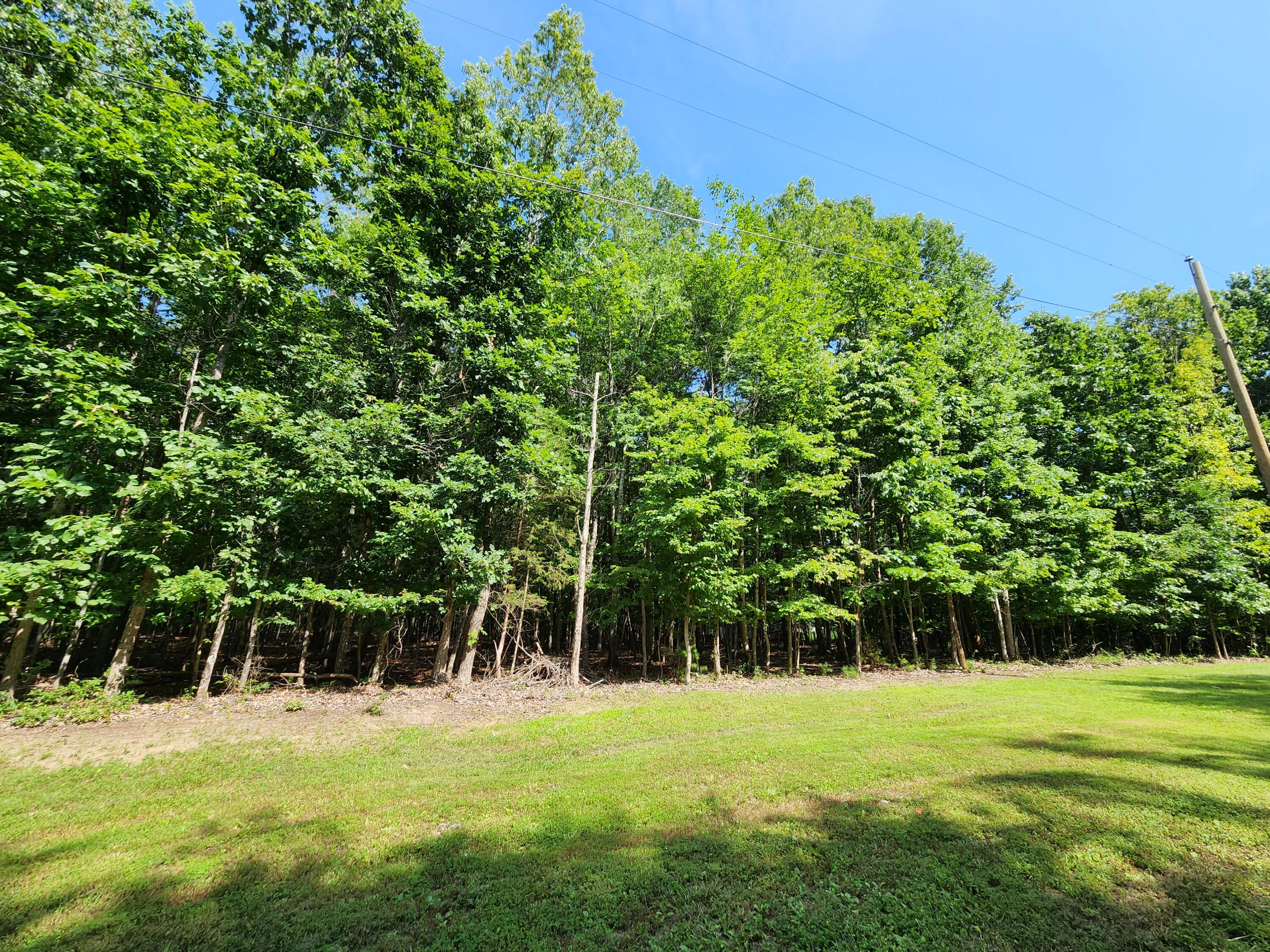 Lot 6 Wapiti Run Road Moneta, VA 24121 - Photo 3 of 7 a view of a big yard with a large tree