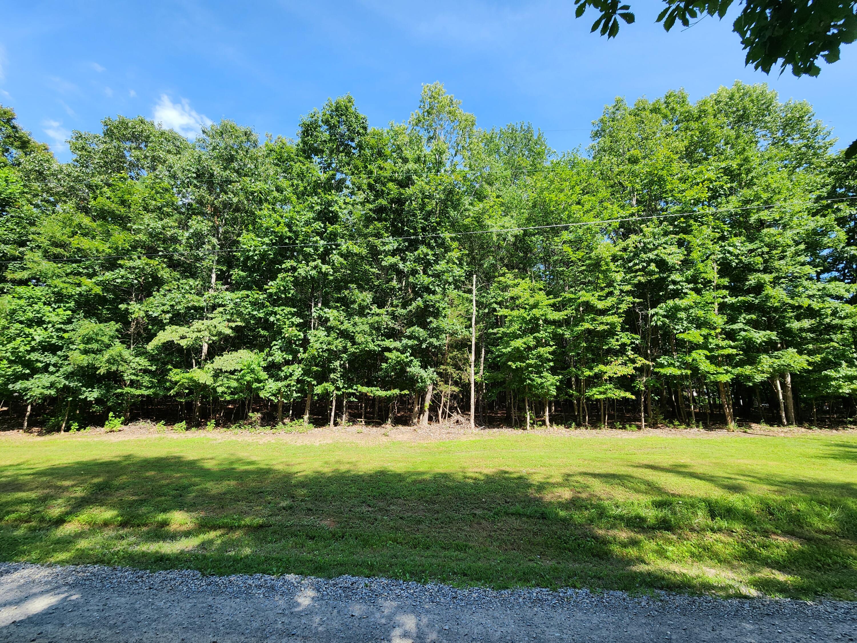 Lot 6 Wapiti Run Road Moneta, VA 24121 - Photo 4 of 7 a view of house with a yard