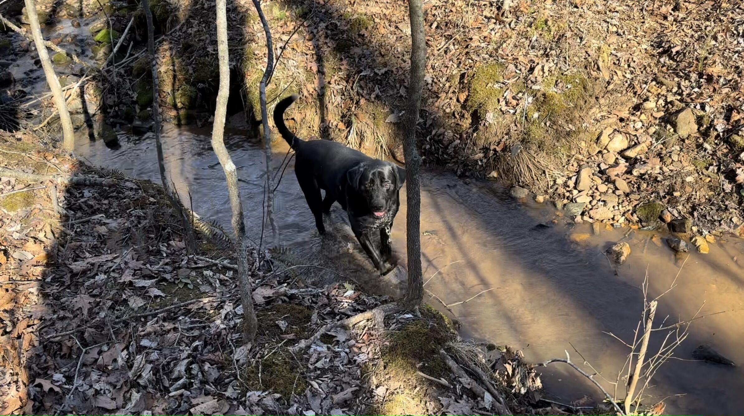 Lot 6 Wapiti Run Road Moneta, VA 24121 - Photo 5 of 7 a view of an outdoor space