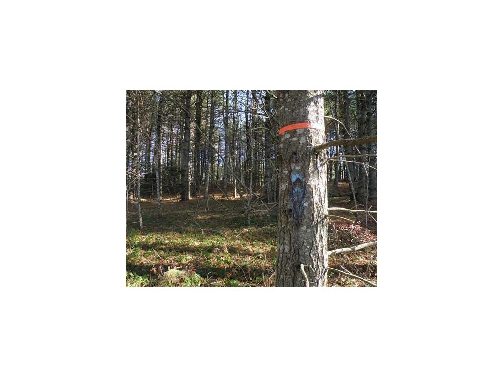 0 Loon Road Wesley, ME 04686 - Photo 8 of 11 Photo