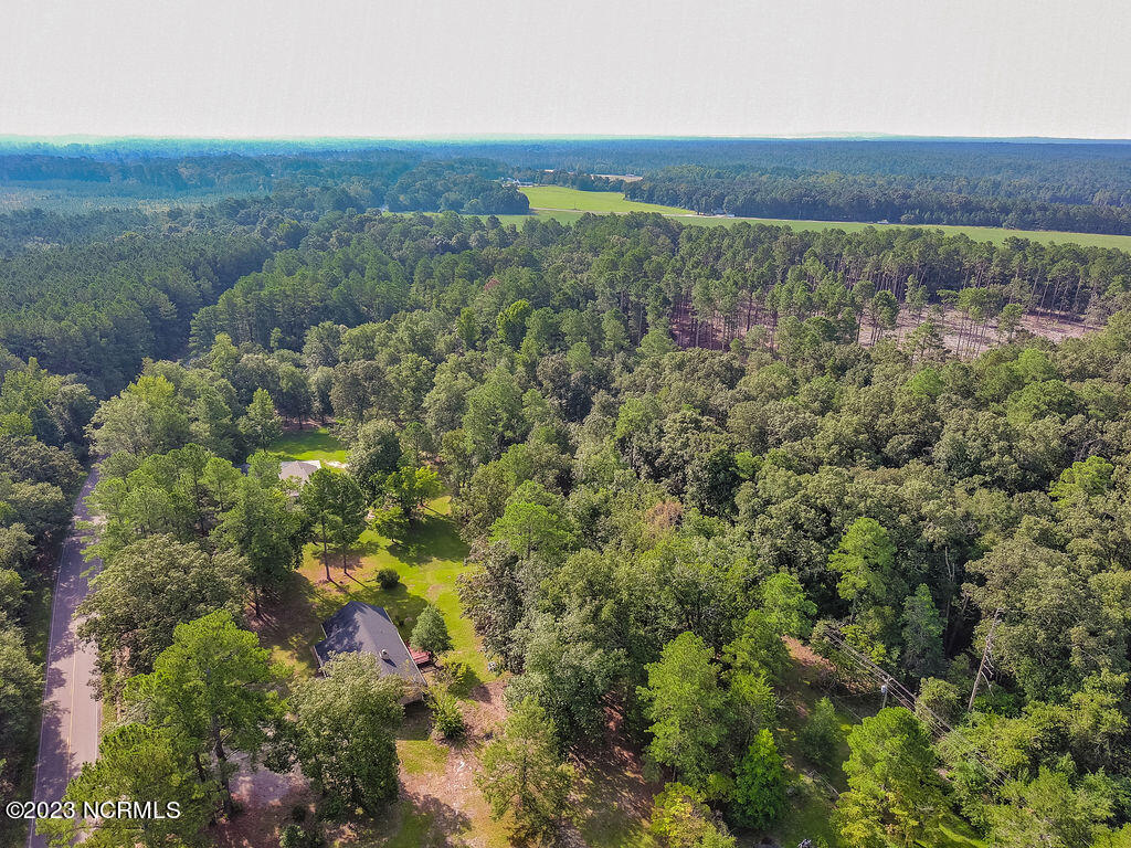 384 Morrison Bridge Road Vass, NC 28394 - Photo 29 of 53 MOCO-55