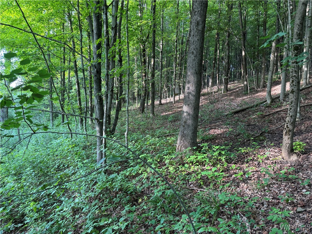 9 Creek Ridge Road Ellicottville, NY 14731 - Photo 14 of 24