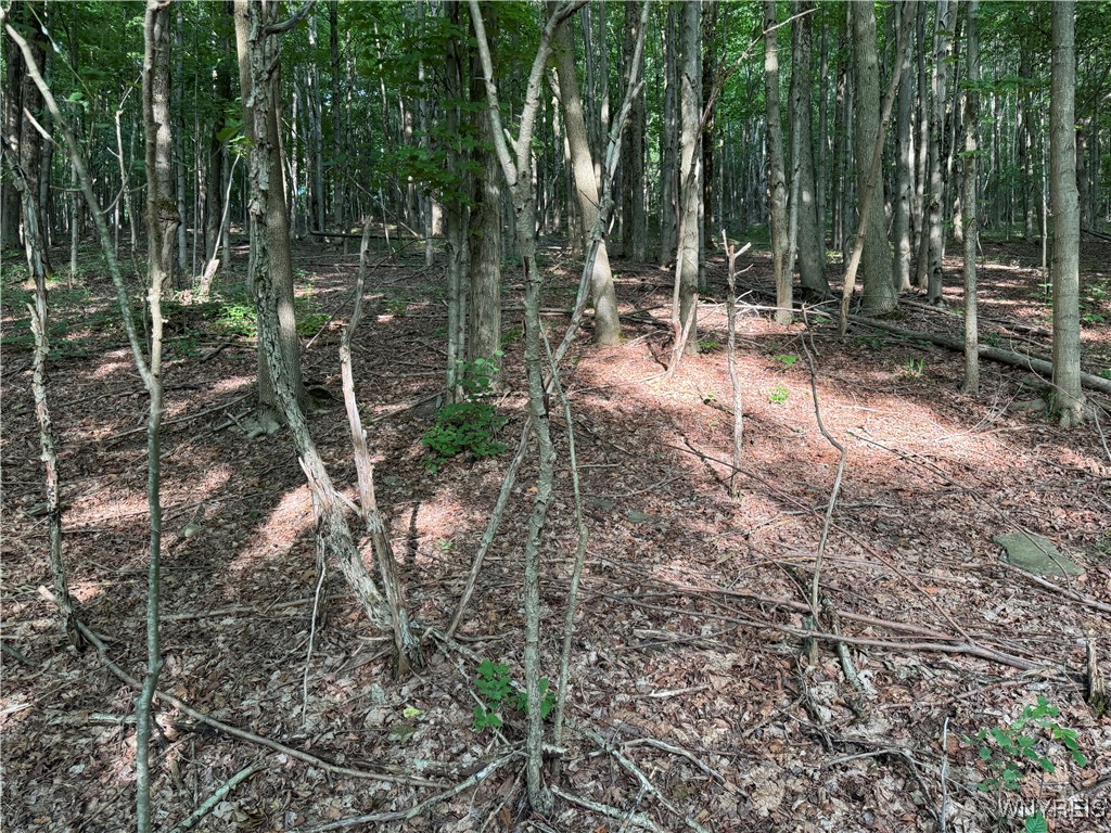 9 Creek Ridge Road Ellicottville, NY 14731 - Photo 17 of 24