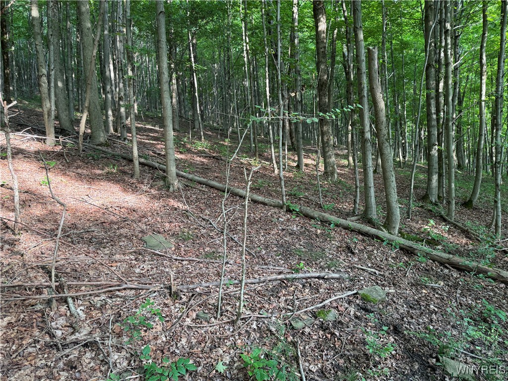 9 Creek Ridge Road Ellicottville, NY 14731 - Photo 18 of 24