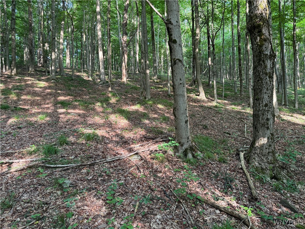 9 Creek Ridge Road Ellicottville, NY 14731 - Photo 20 of 24