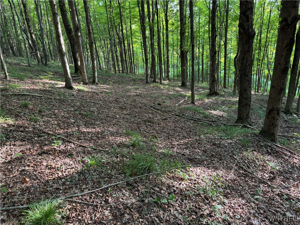 9 Creek Ridge Road Ellicottville, NY 14731 - Photo 22 of 24