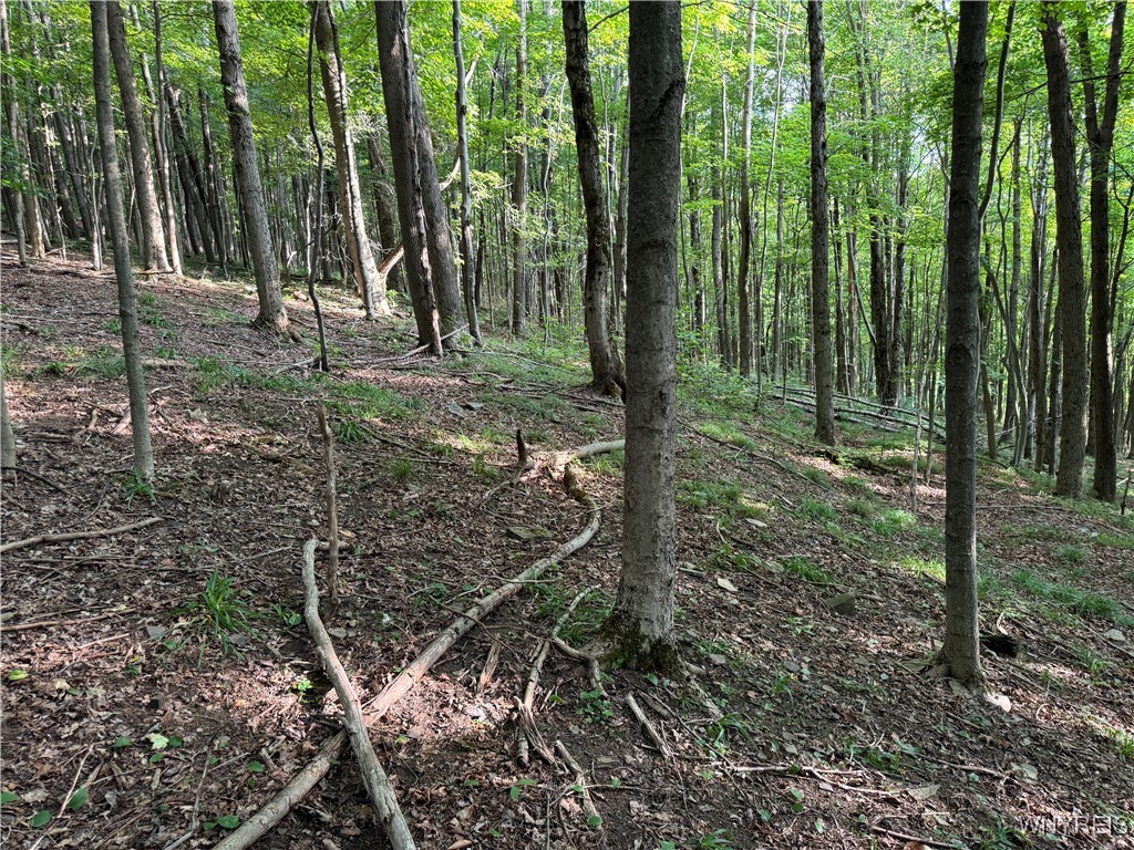 9 Creek Ridge Road Ellicottville, NY 14731 - Photo 24 of 24