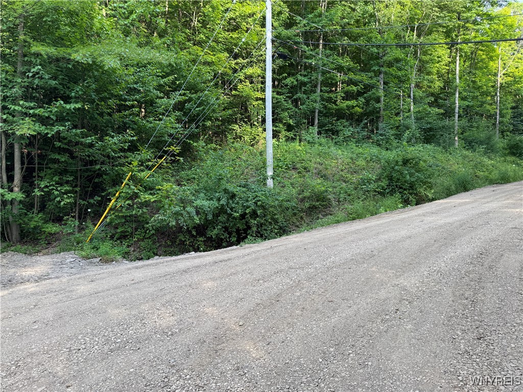 9 Creek Ridge Road Ellicottville, NY 14731 - Photo 9 of 24