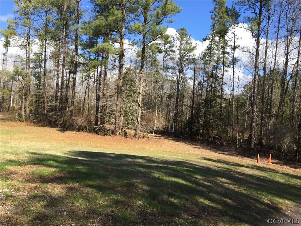 15400 River Road Chesterfield, VA 23838 - Photo 8 of 10