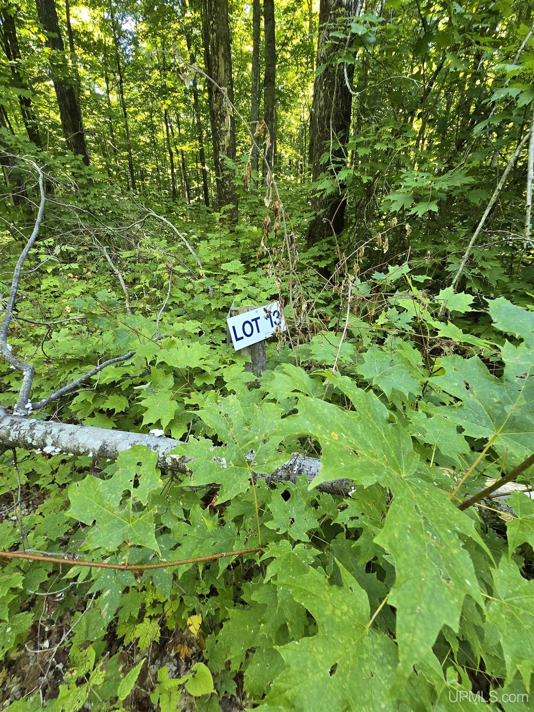 12 Redridge Creek Road Atlantic Mine, MI 49905 - Photo 9 of 28