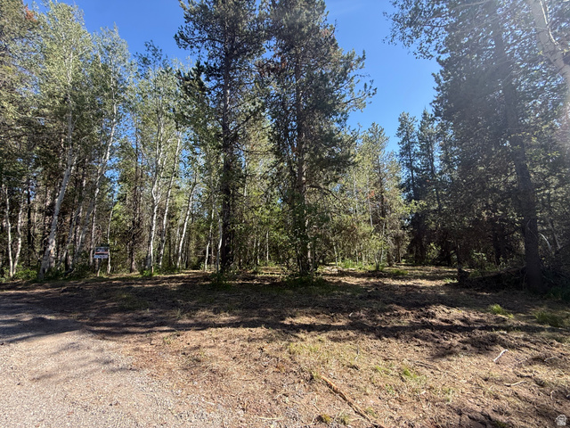 4376 Granite Ridge Ashton, ID 83420 - Photo 4 of 50