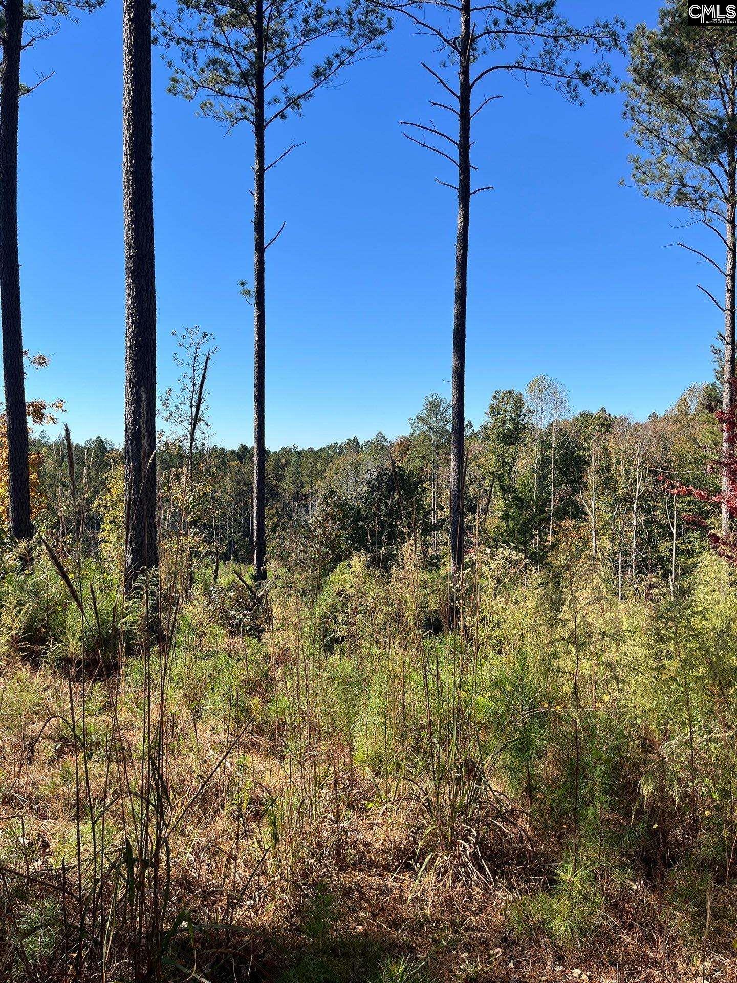 3 Dawkins Road, Unit DRF 3 Whitmire, SC 29178 - Photo 5 of 38