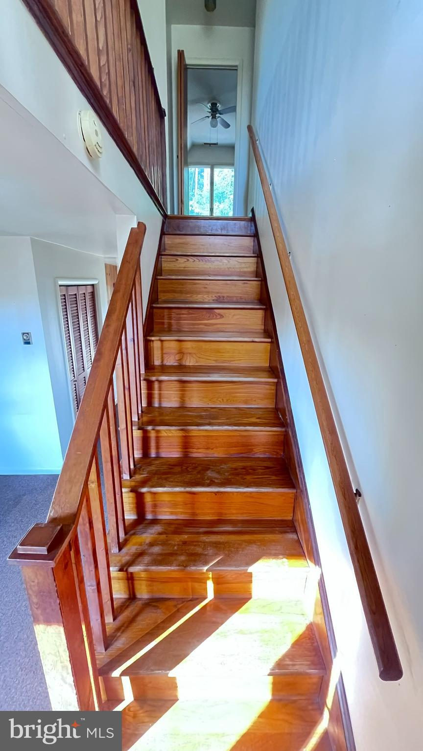 1716 Hudson Road Cambridge, MD 21613 - Photo 16 of 56