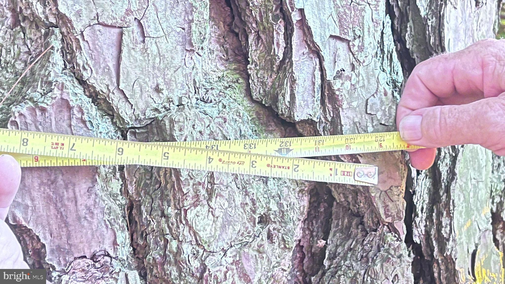 1716 Hudson Road Cambridge, MD 21613 - Photo 37 of 56