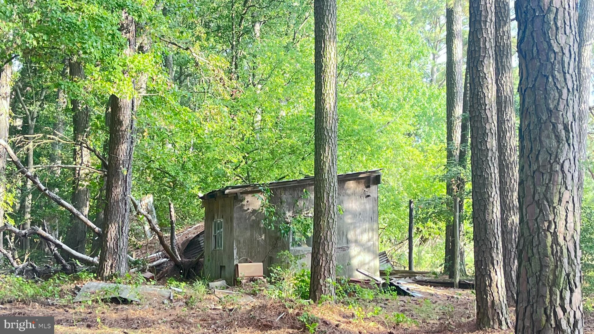 1716 Hudson Road Cambridge, MD 21613 - Photo 39 of 56