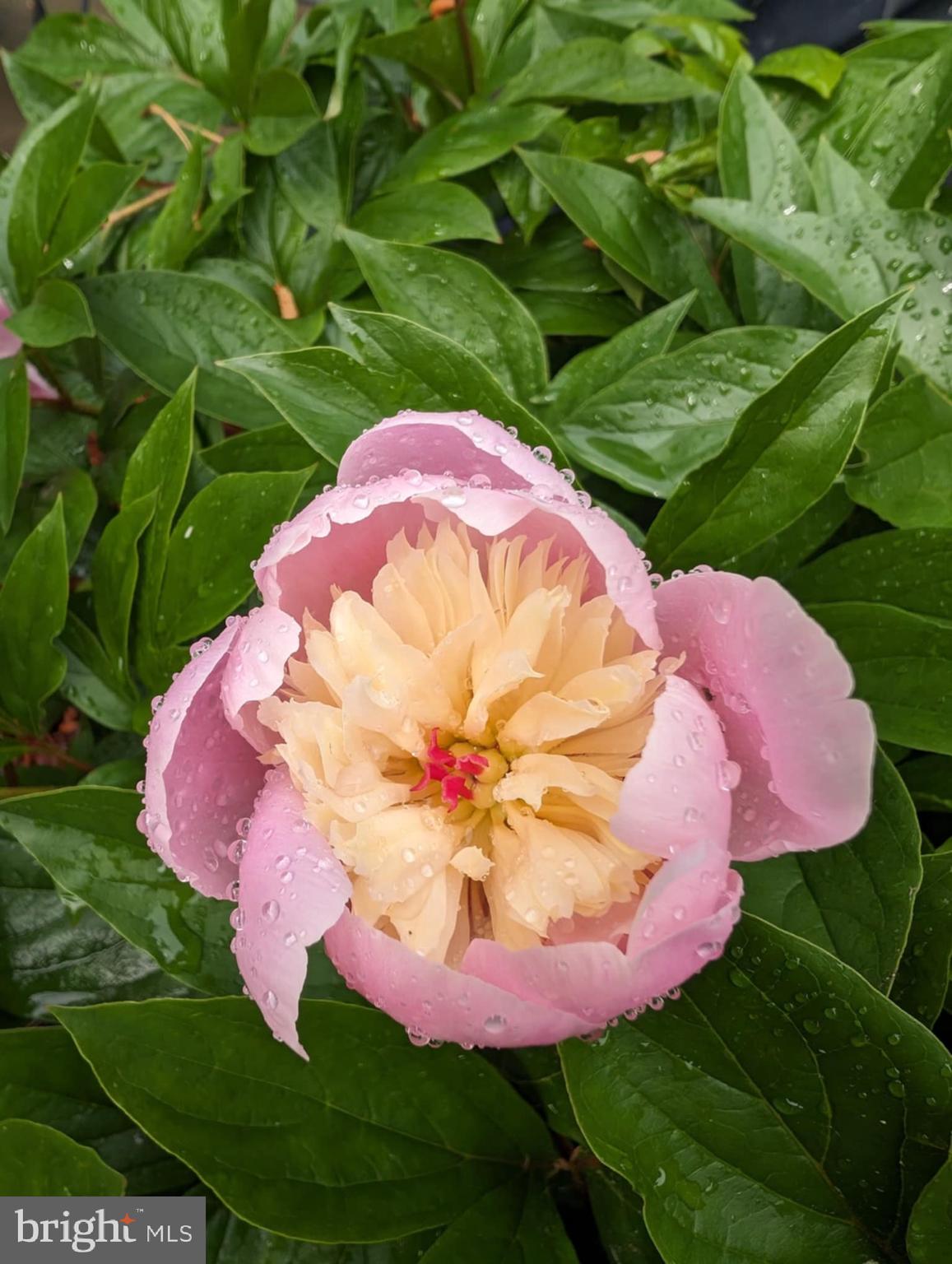 1716 Hudson Road Cambridge, MD 21613 - Photo 52 of 56