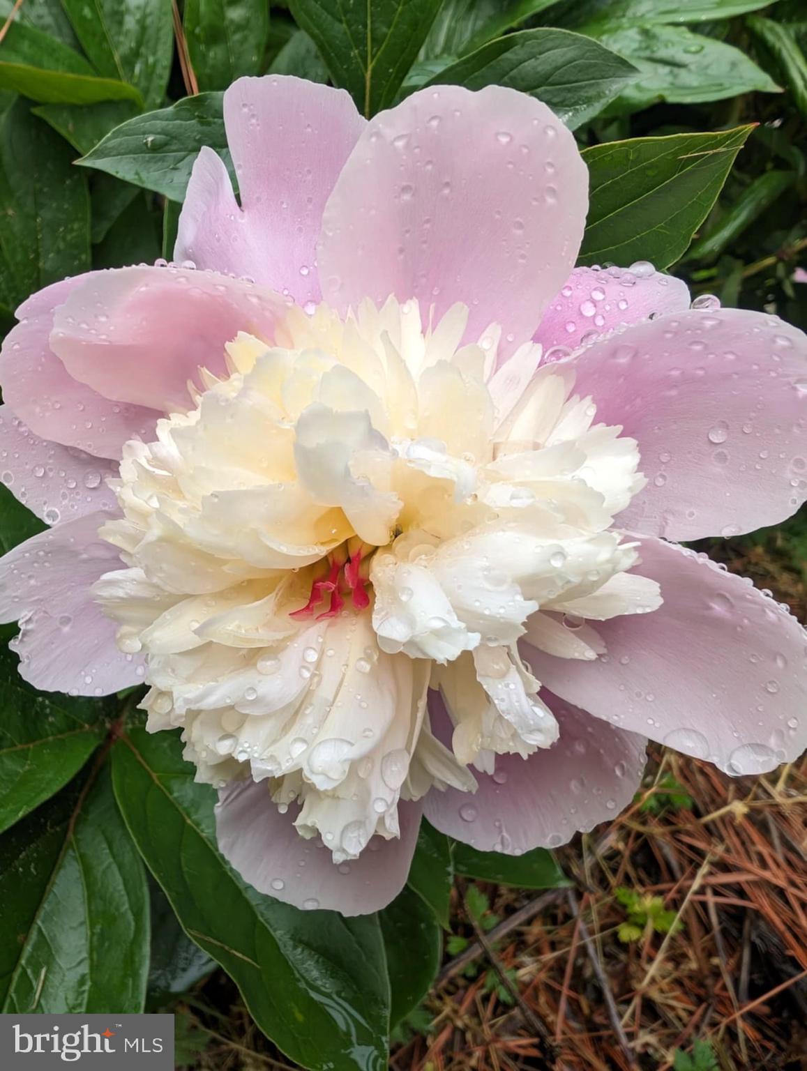 1716 Hudson Road Cambridge, MD 21613 - Photo 53 of 56