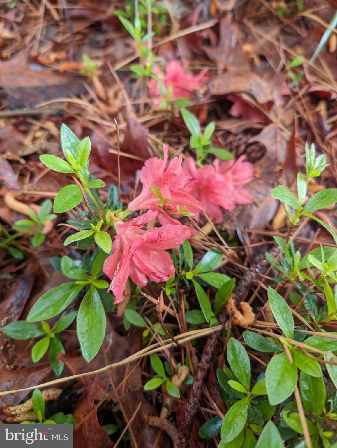 1716 Hudson Road Cambridge, MD 21613 - Photo 56 of 56