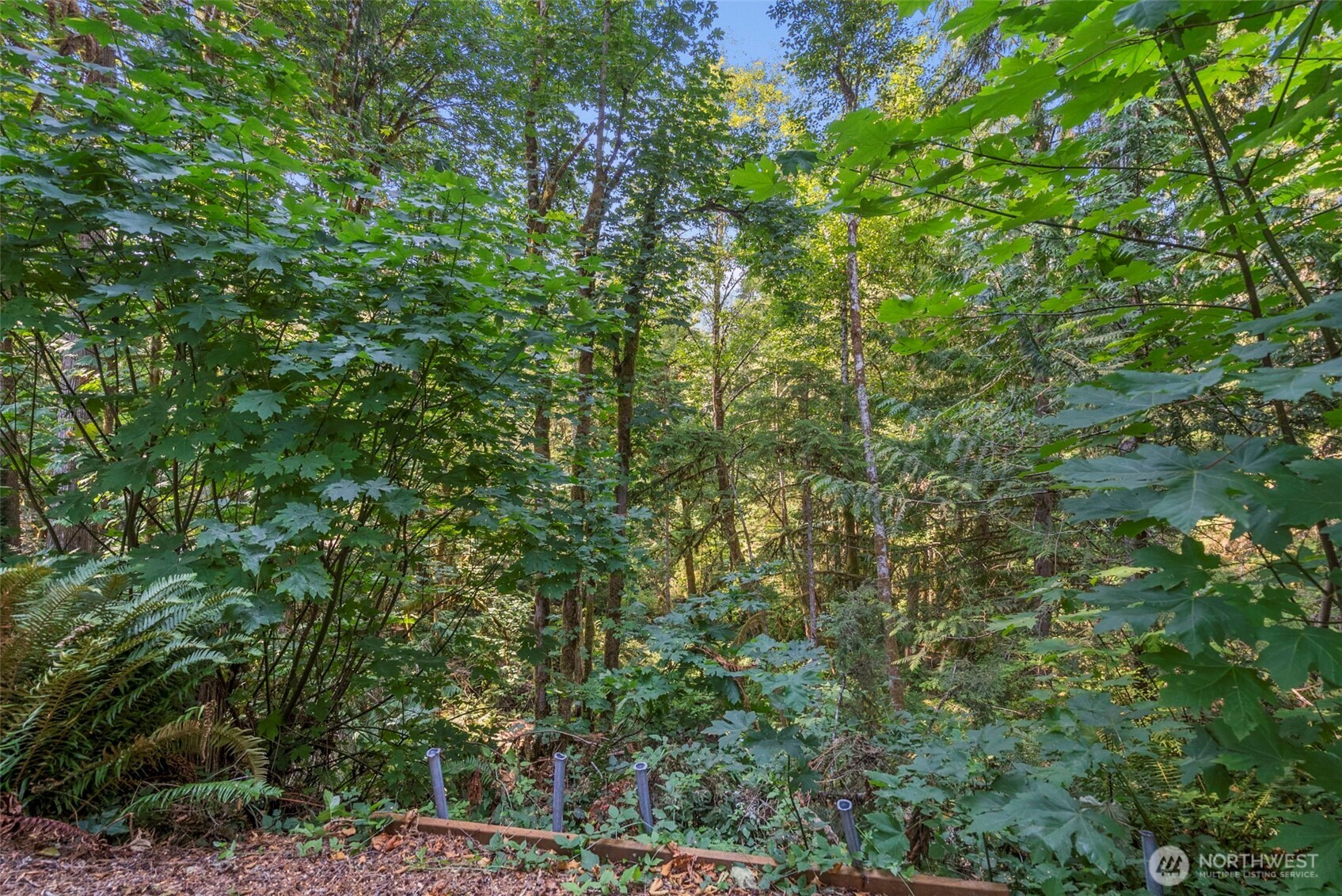 560 North Beacon Point Loop North Lilliwaup, WA 98555 - Photo 24 of 40 a view of a yard