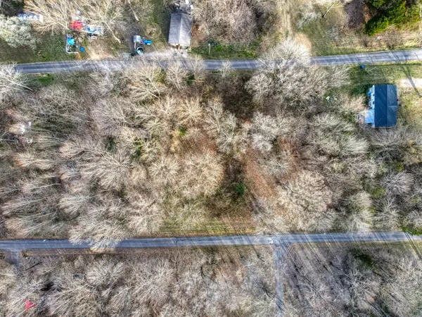 a view of a yard