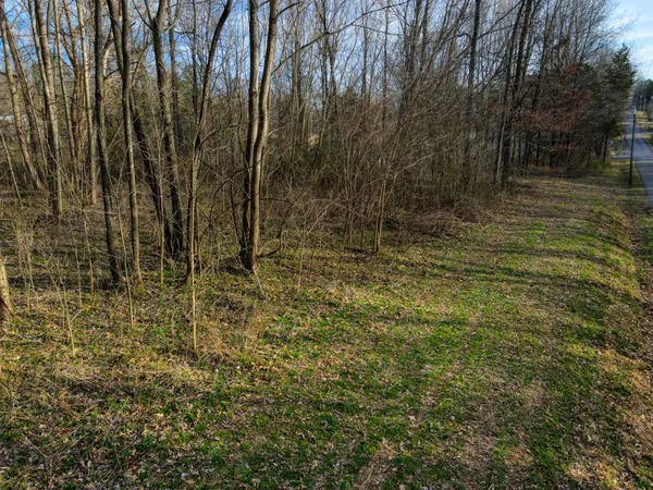 a view of backyard with green space
