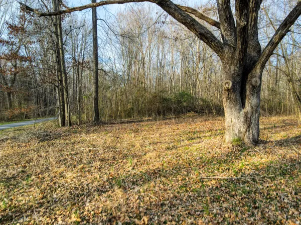 a view of outdoor space with trees