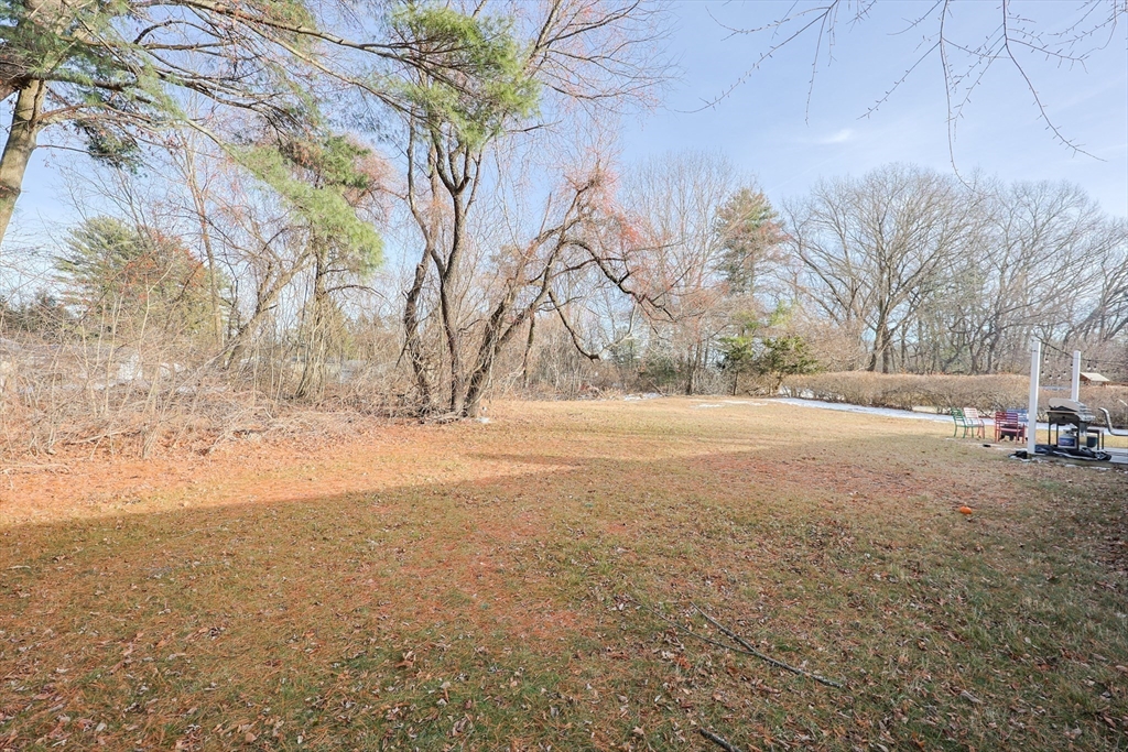 11 Edith Road Framingham, MA 01701 - Photo 34 of 37
