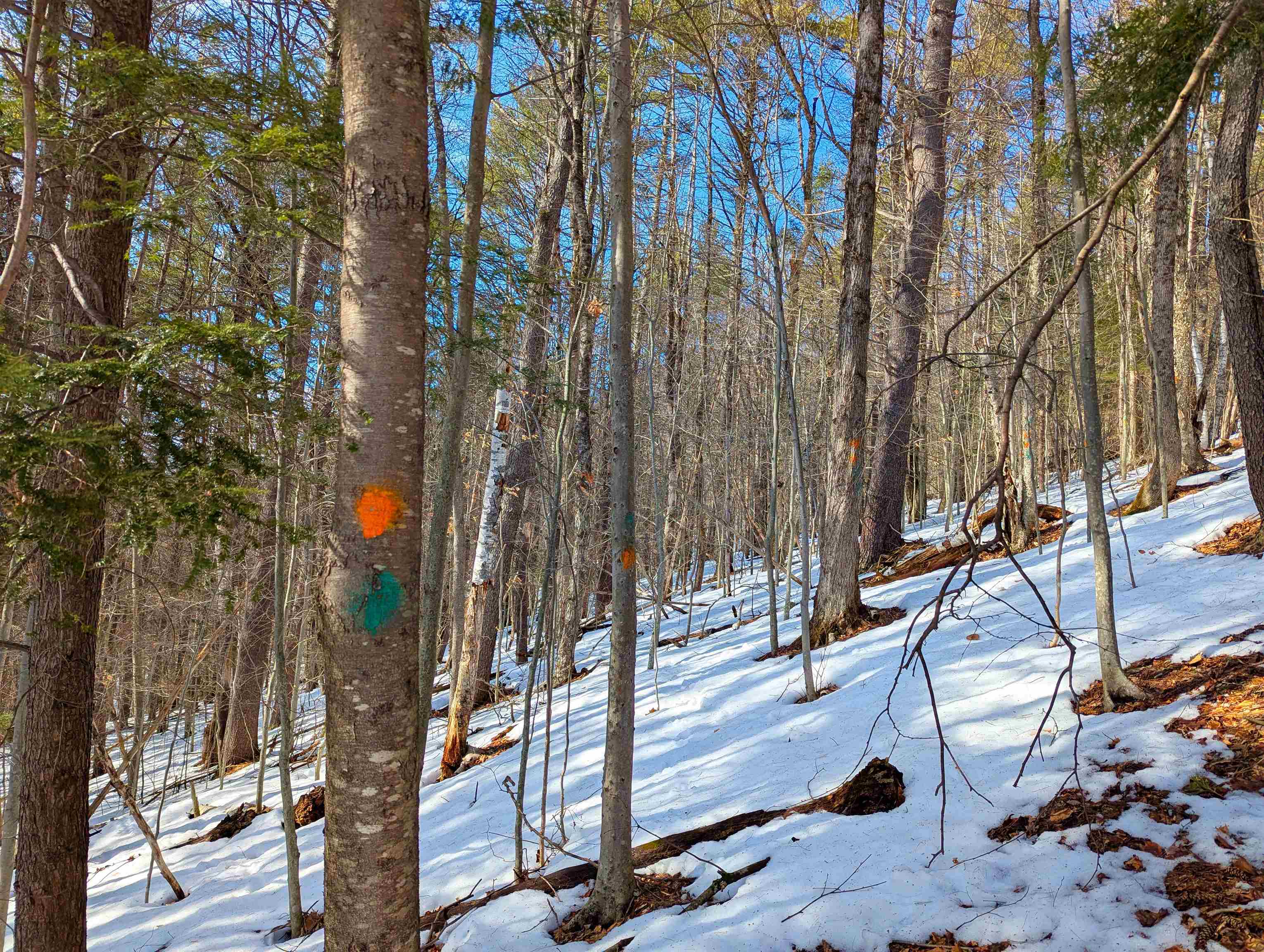 0 Carpenter Hill Road Guilford, VT 05301 - Photo 7 of 8