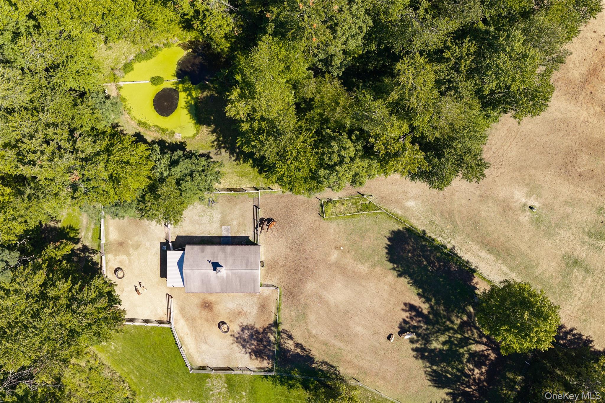 26 Gold Road Pleasant Valley, NY 12569 - Photo 45 of 50 Gallery Image 45