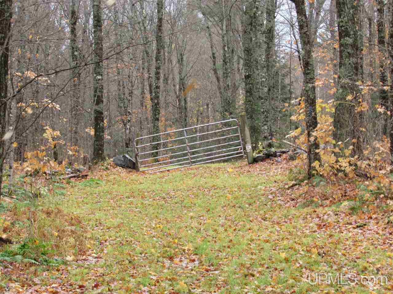River-connors Corner Road Iron River, MI 49935 - Photo 48 of 49