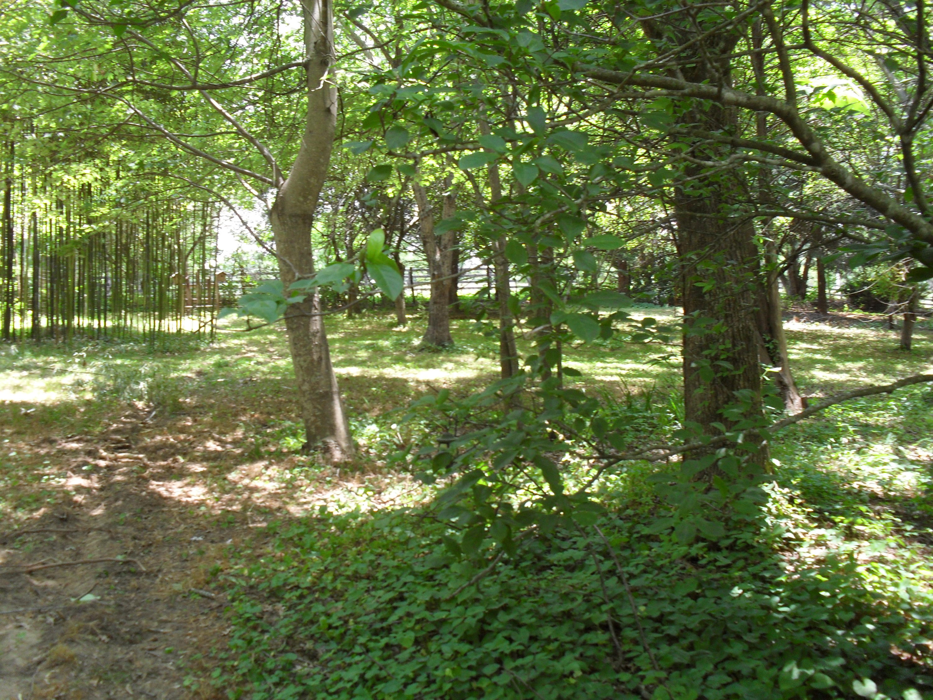 2702 Poe Road Soddy Daisy, TN 37379 - Photo 57 of 74 SDC14002