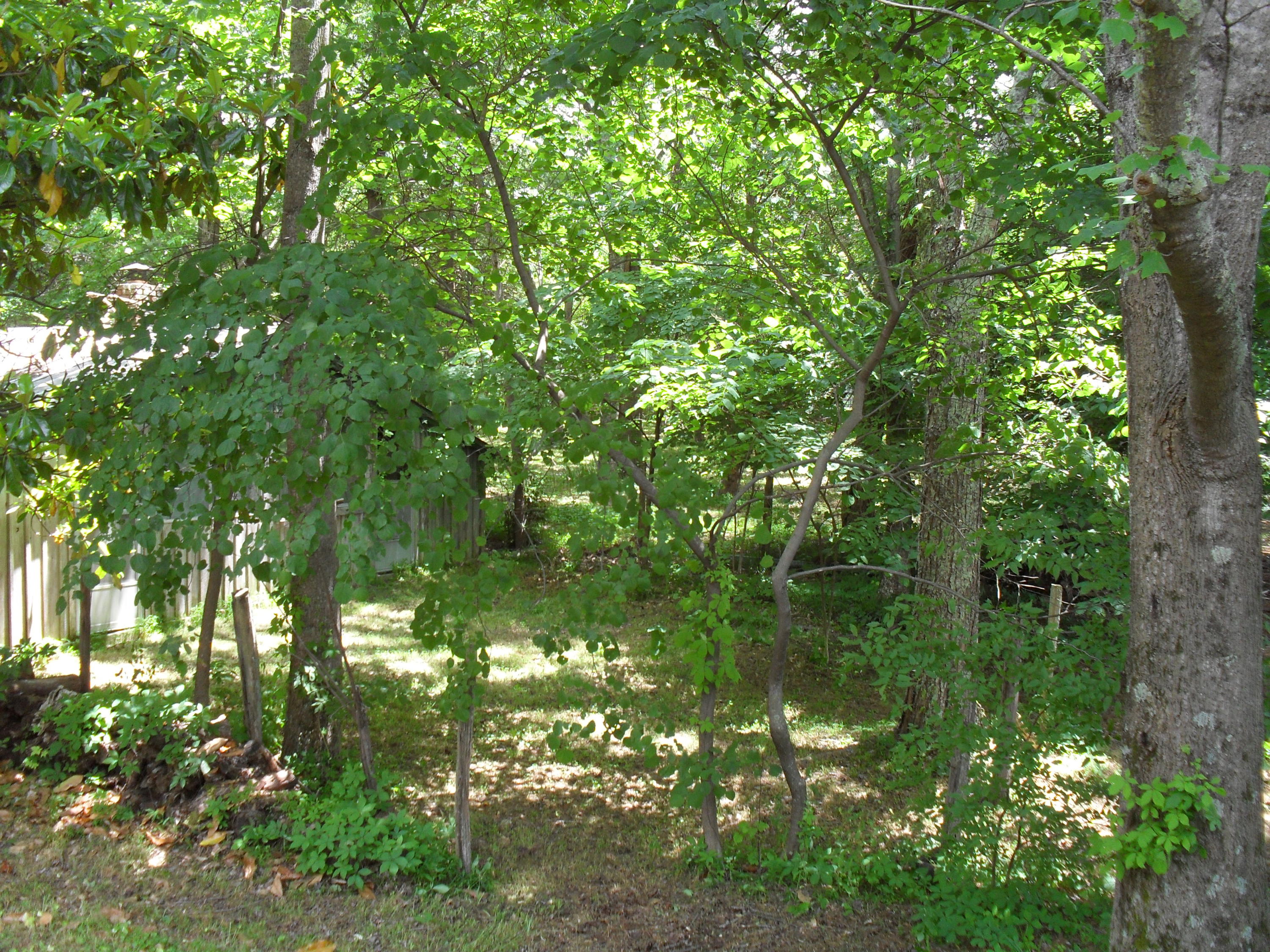 2702 Poe Road Soddy Daisy, TN 37379 - Photo 58 of 74 SDC13999