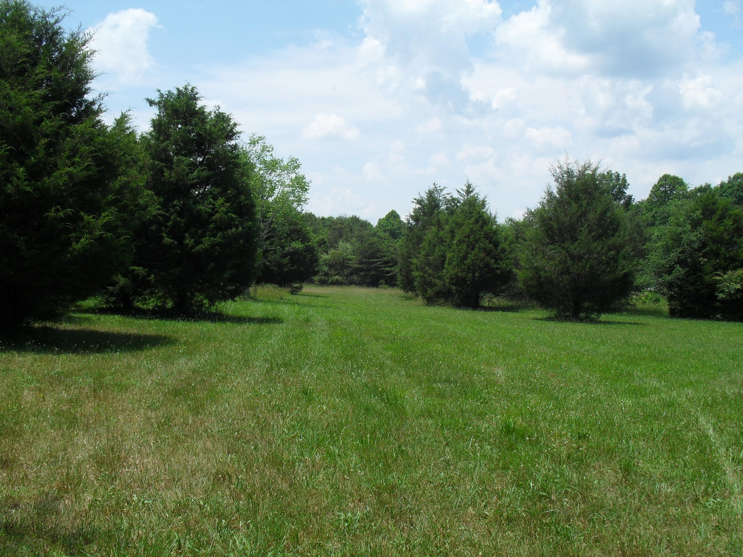 2702 Poe Road Soddy Daisy, TN 37379 - Photo 61 of 74 SDC13989