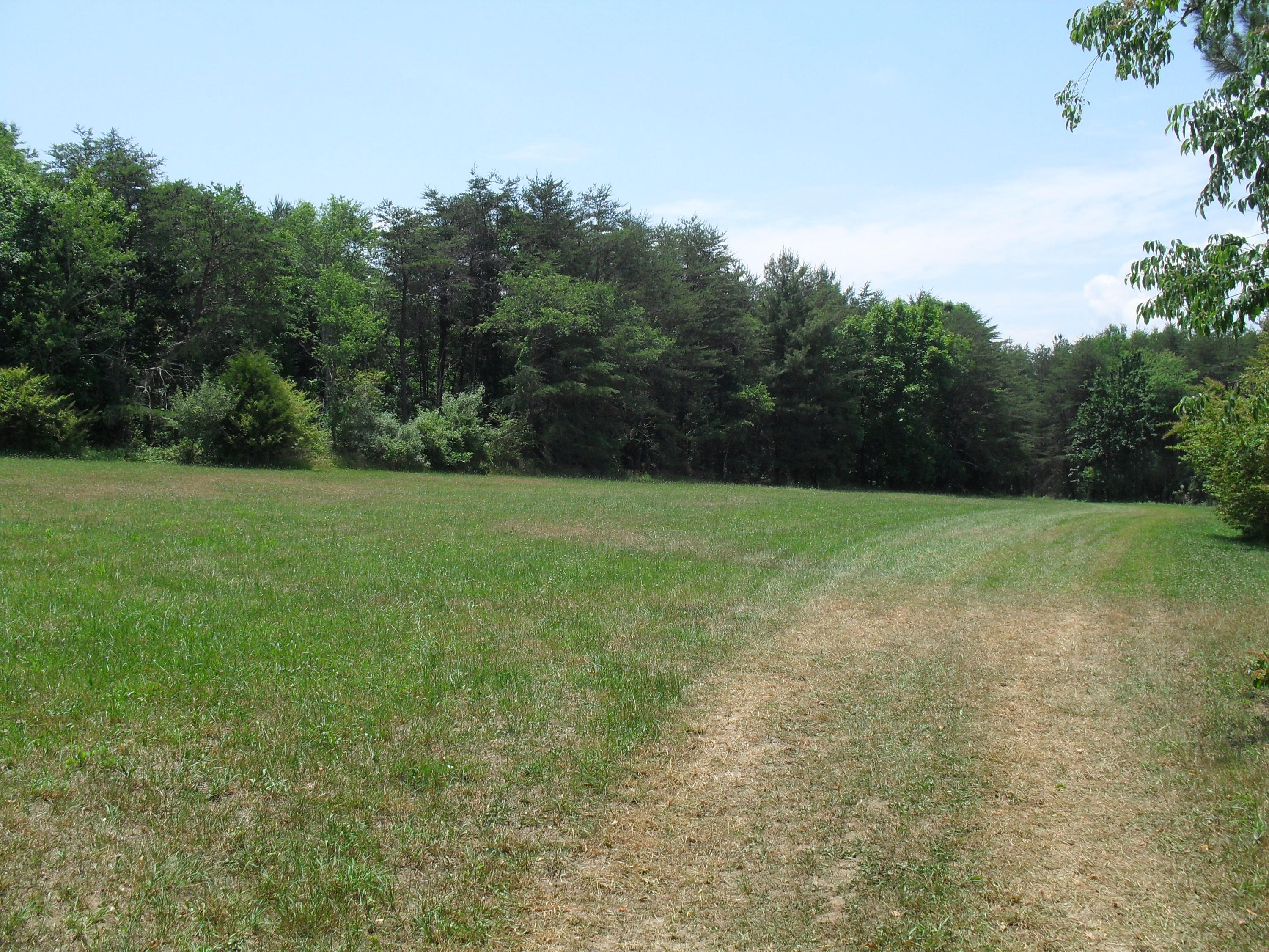 2702 Poe Road Soddy Daisy, TN 37379 - Photo 62 of 74 SDC13988