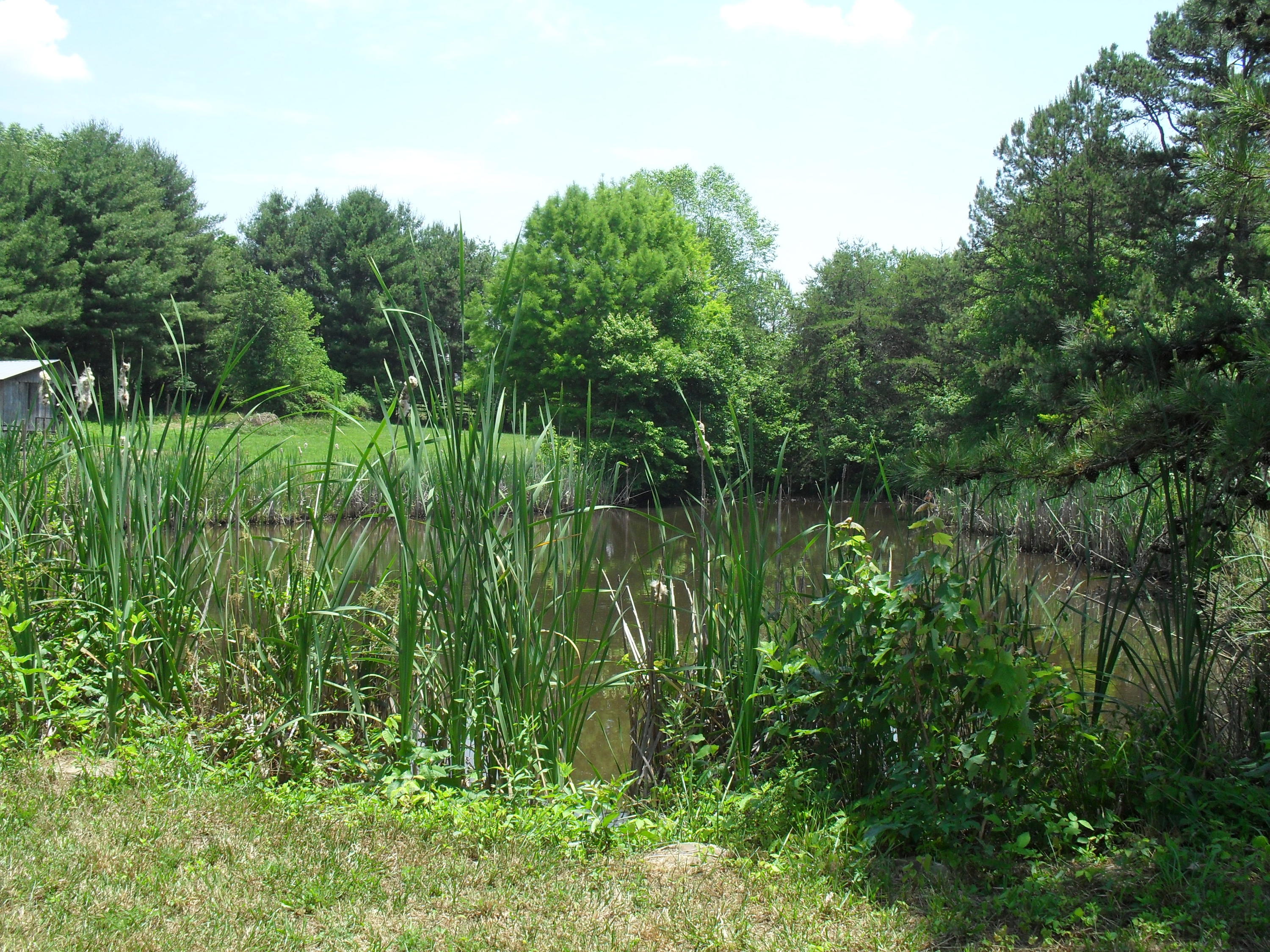 2702 Poe Road Soddy Daisy, TN 37379 - Photo 64 of 74 SDC13986