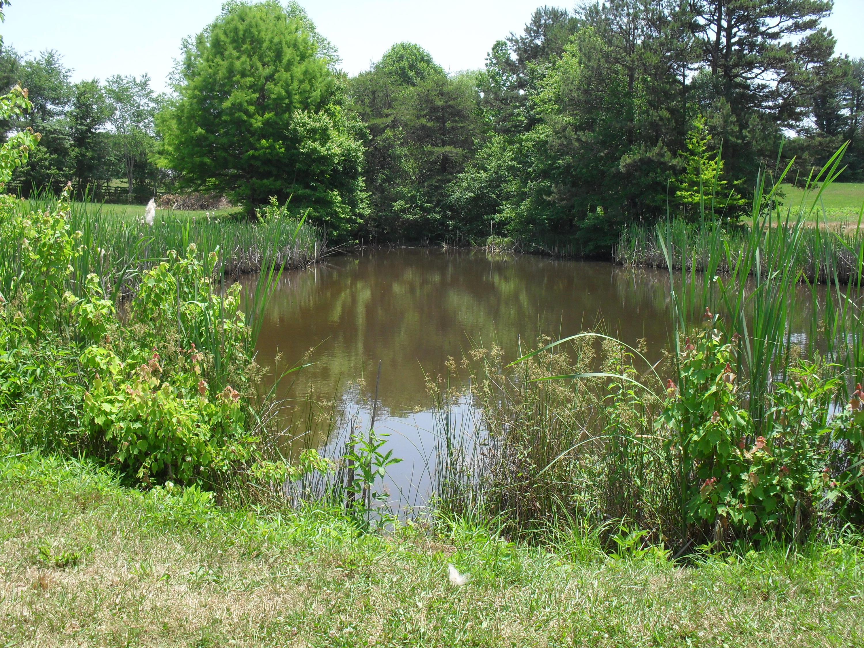 2702 Poe Road Soddy Daisy, TN 37379 - Photo 65 of 74 SDC13985