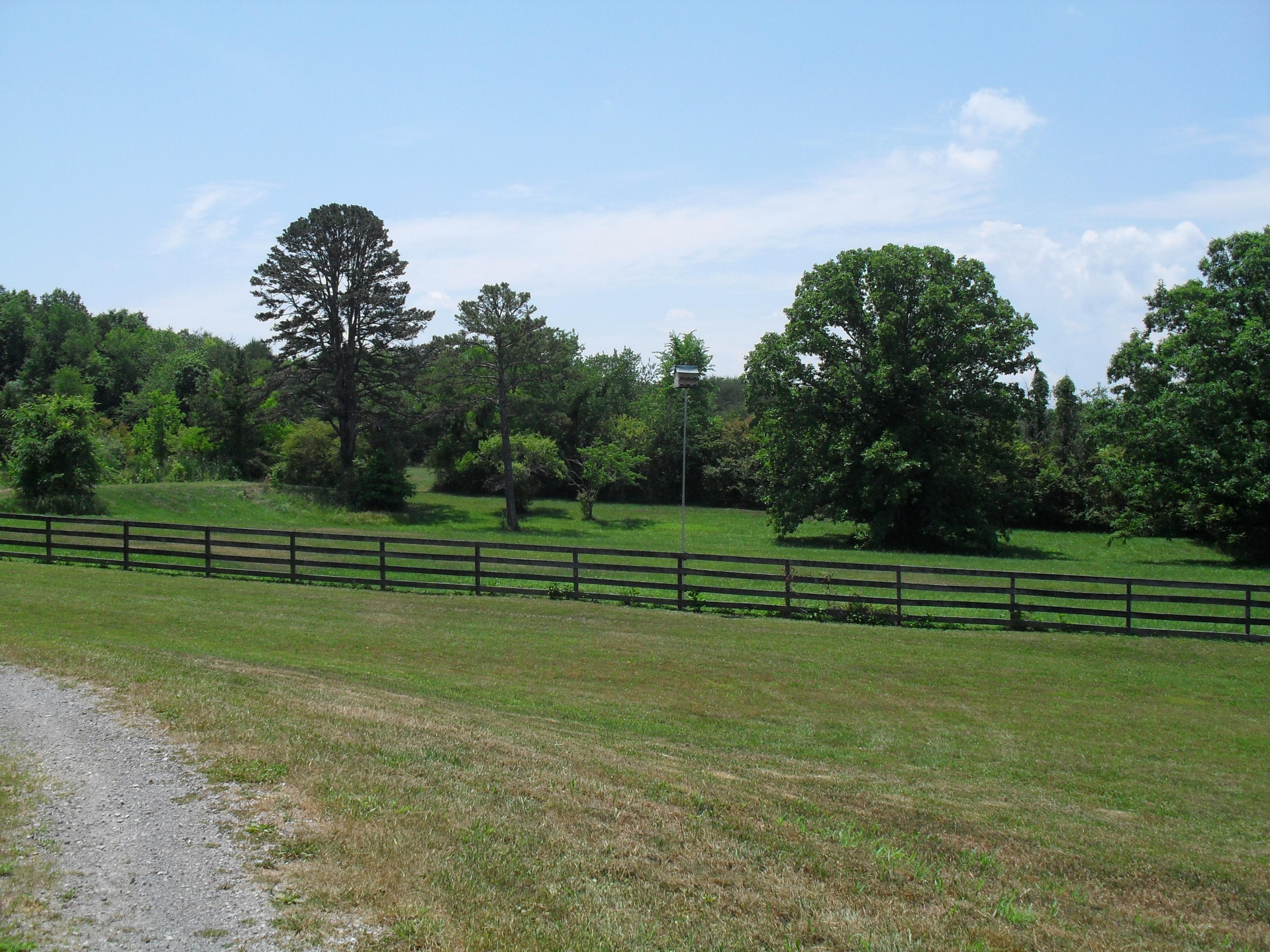 2702 Poe Road Soddy Daisy, TN 37379 - Photo 67 of 74 SDC13983