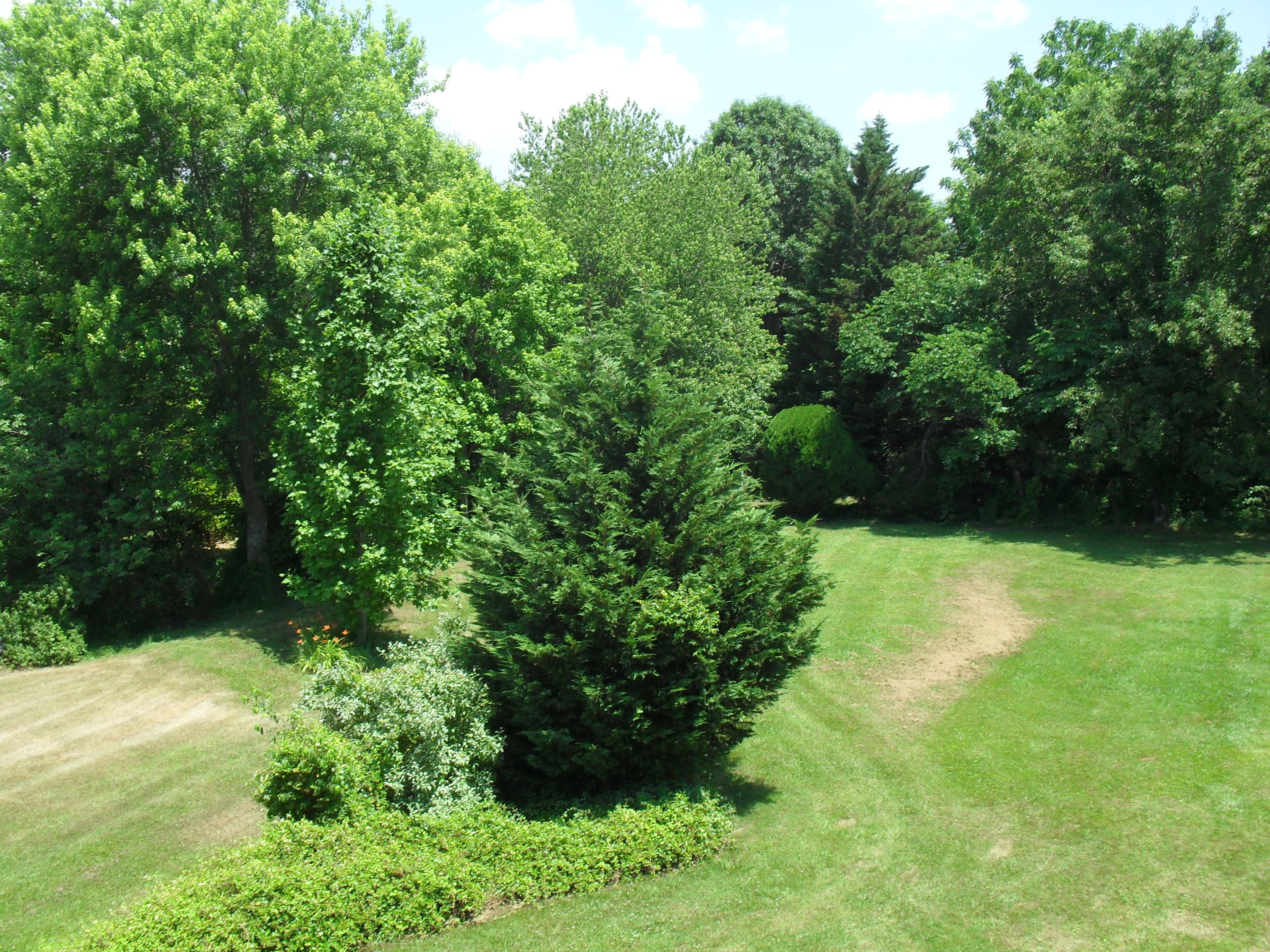 2702 Poe Road Soddy Daisy, TN 37379 - Photo 72 of 74 SDC13970