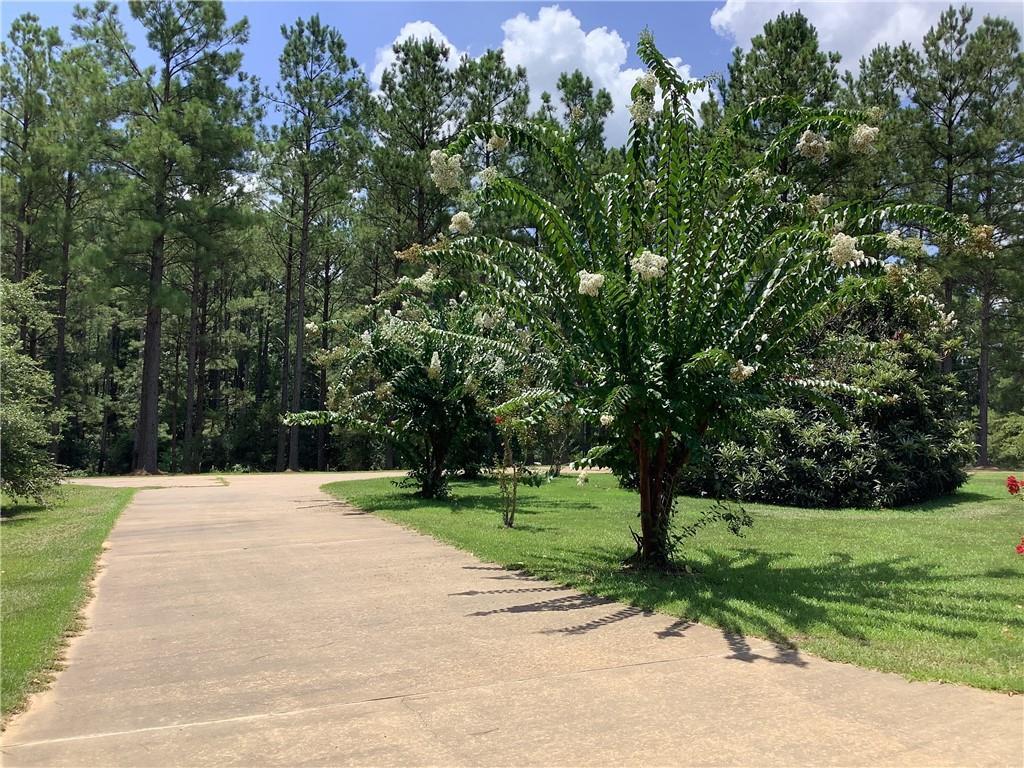 2701 Hwy 479 Road Saline, LA 71070 - Photo 12 of 22 Gallery Image 12